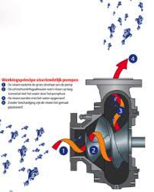 Hidrostal Cut Section