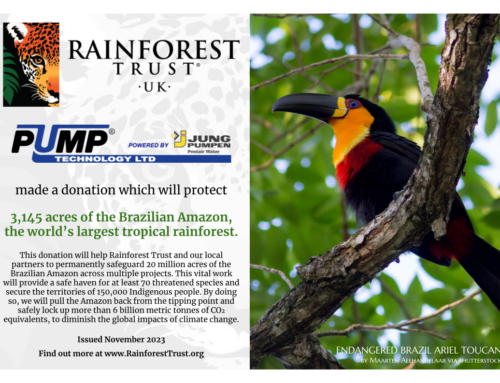 Rainforest Trust UK – An update